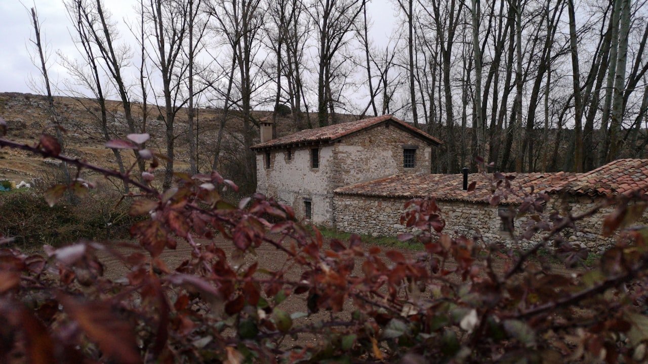 iOS 15 take into accounts: Overlook amount, Cope with good prime quality