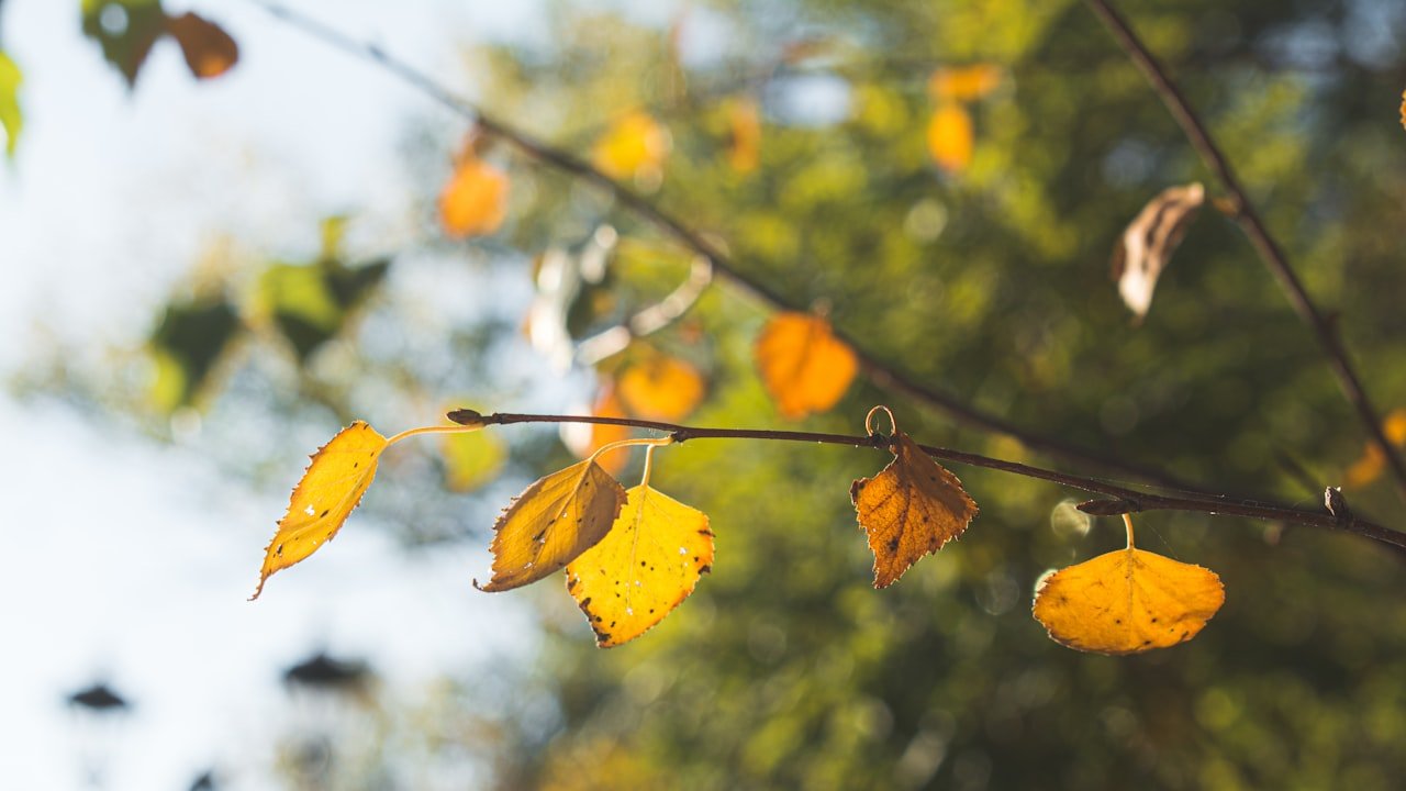 Lithium-ion Laptop Batterie |Proffessionel Manufacturer’s Handbook