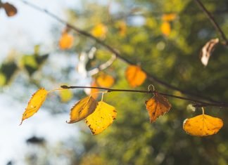 Lithium-ion Laptop Batterie |Proffessionel Manufacturer’s Handbook