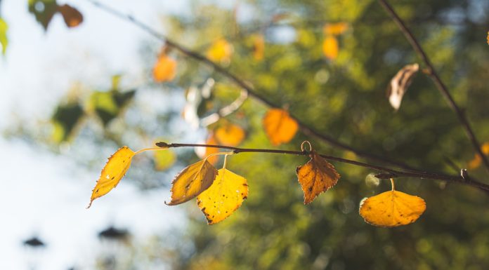 Lithium-ion Laptop Batterie |Proffessionel Manufacturer’s Handbook