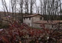 iOS 15 take into accounts: Overlook amount, Cope with good prime quality