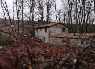 iOS 15 take into accounts: Overlook amount, Cope with good prime quality